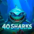 40 Sharks