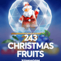 243 Christmas Fruits