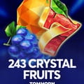 243 Crystal Fruits
