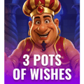 3 Pots of Wishes™
