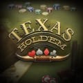 Texas Hold'em Poker