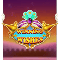 Winning Wishes