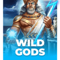 Wild Gods