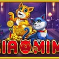 Xiao Mi Mi