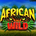 African Wild