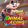 Animal Racing