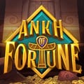 Ankh of Fortune