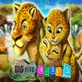 Big 5 baby 5