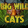 Big Wild Cats