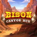 Bison - Canyon Run