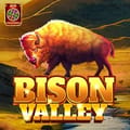 Bison Valley