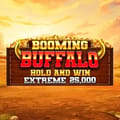 Booming Buffalo Hold and Win Extreme 25,000