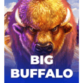 Buffalo Lightning