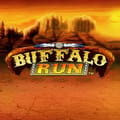 Buffalo Runs