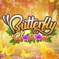 Butterfly Blossom