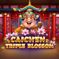 Caichen Triple Blossom