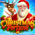 Christmas Fortune