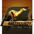 Dog Races