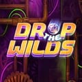 Drop the Wilds
