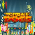 Fortune Dogs