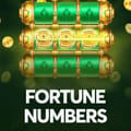 Fortune Numbers