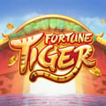 Fortune Tiger