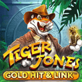 Gold Hit & Link: Tiger Jones™