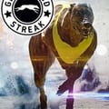 Greyhound Streak