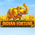 Indian Fortune
