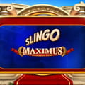 Slingo Maximus