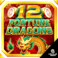 12 Fortune Dragons