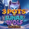 3 Pots of Lunar Wolf – Hold and Win™