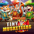 3 Wonders - Tiny Musketeers