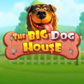 The Big Dog House