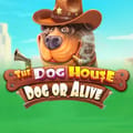 The Dog House - Dog or Alive