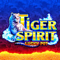 Tiger Spirit Lucky Pot