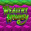 Wealthy Monkey