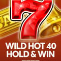 Wild Hot 40 Hold and Win