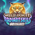Wild North Radiant Skies GO Collect