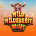 Wild Wildebeest Wins