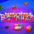 Berry Berry Bonanza™