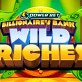 Billionaire's Bank: Wild Riches