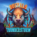 Buffalo Thunderstorm