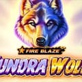 Fire Blaze Golden Tundra Wolf