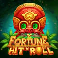 Fortune Hit'n'Roll