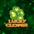 Lucky Clover