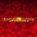 Master Chen's Fortune™