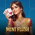 MiniFlush