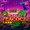 POWER PRIZES – Noble Peacock