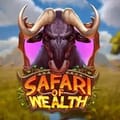 Safari of Wealth